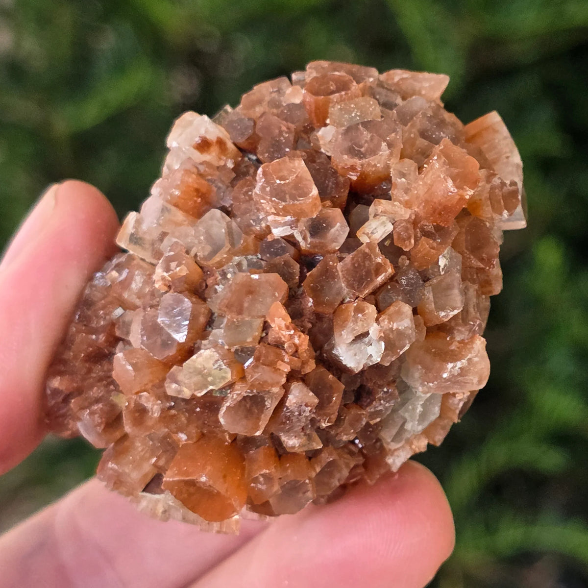 Cluster cristal aragonit maro din Maroc