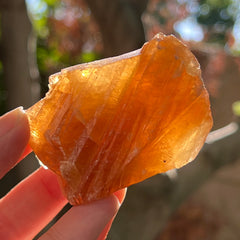Miel d’aragonite