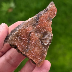 Calcite rose Diamond