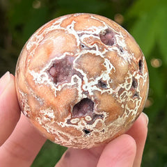 Agate Dentelle Folle