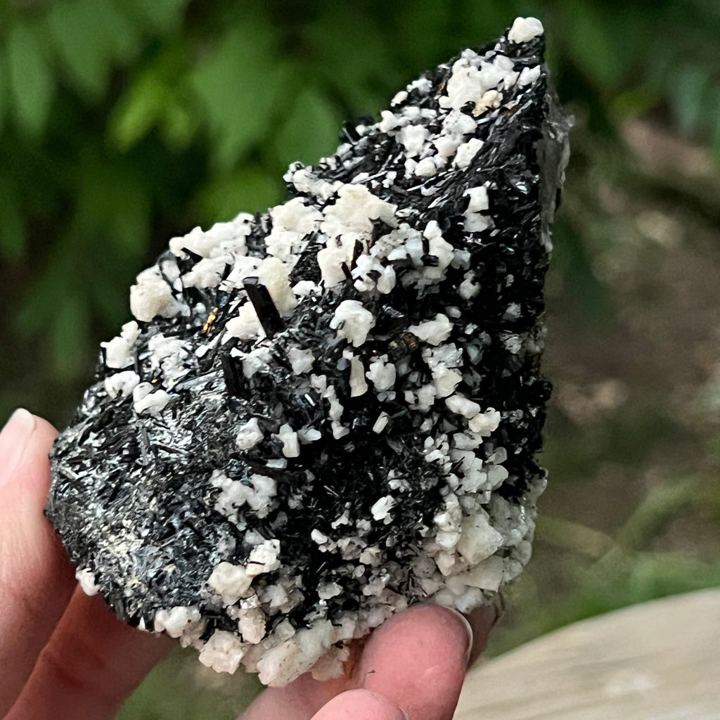 Cluster turmalina neagra model 7 din Erongo, Namibia, pietre semipretioase - druzy.ro 5 