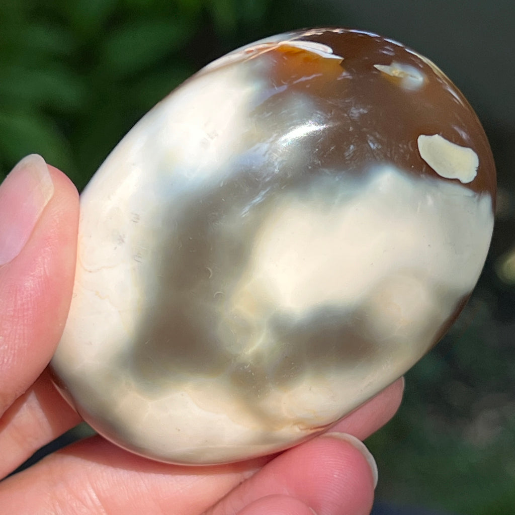 Agat Orca palmstone model 6, pietre semipretioase - druzy.ro 3 