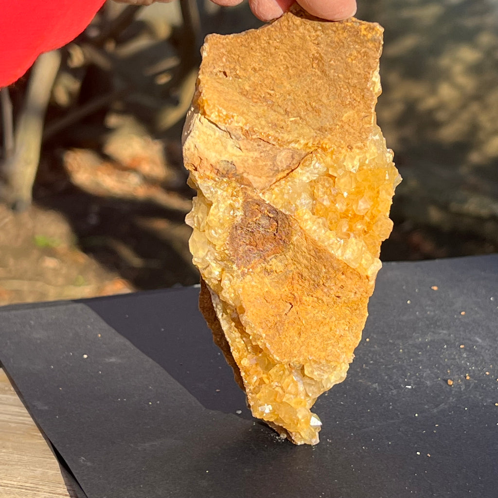 Cluster cuart lamaie, golden healer 4A/4, Zambia, druzy.ro, cristale 2
