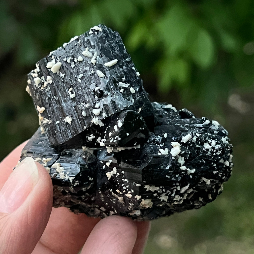 Cluster turmalina neagra model 6 din Erongo, Namibia, pietre semipretioase - druzy.ro 2 