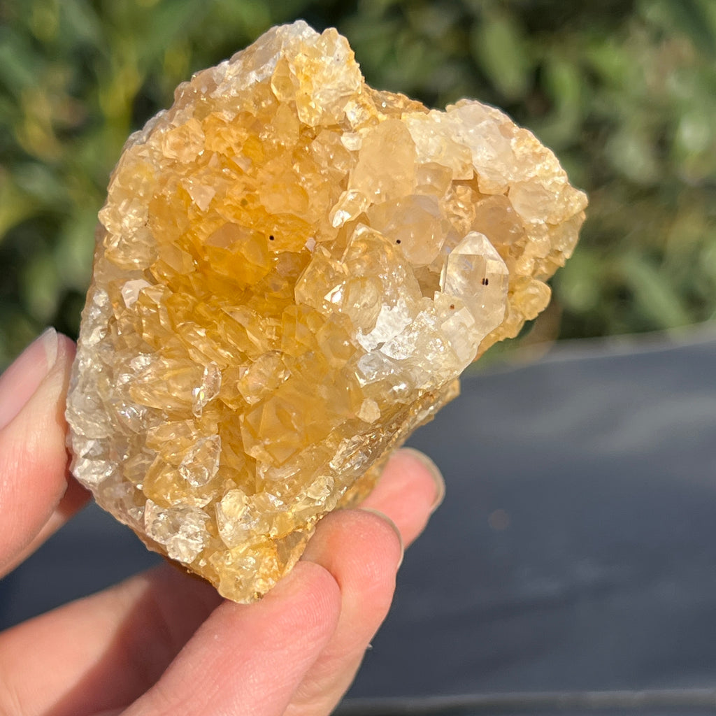 Cluster cuart lamaie Zambia, golden healer model 49, pietre semipretioase - druzy.ro 7 