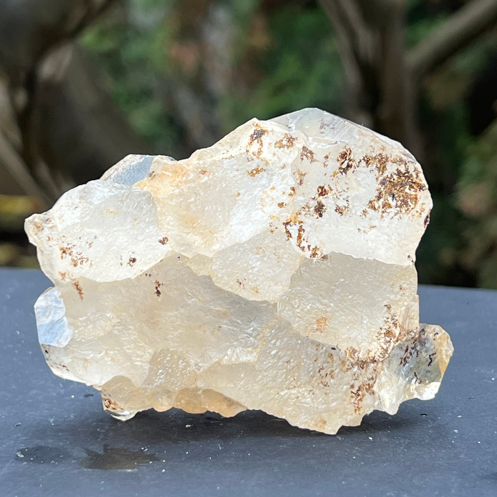 Cluster cuart incolor, floare de mina, cristal de stanca Zimbabwe m5, druzy.ro, cristale 4