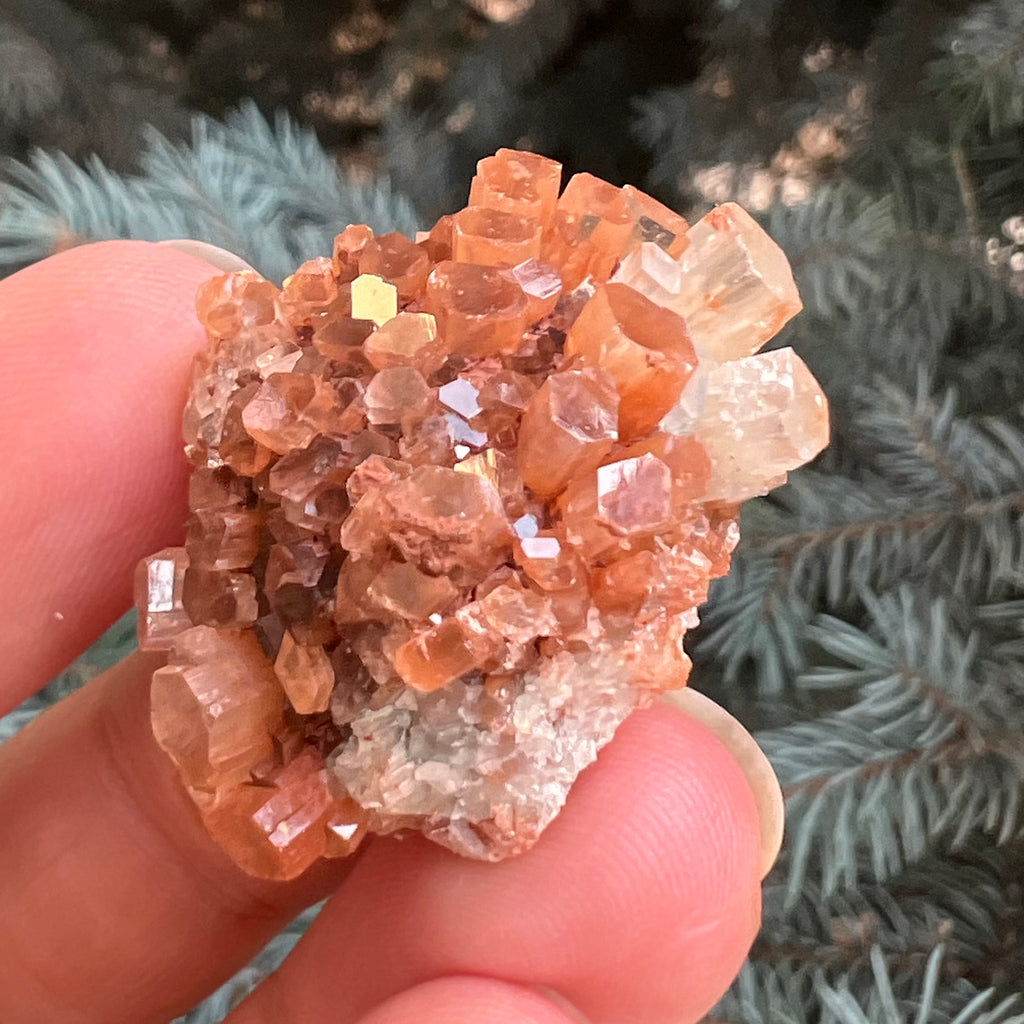 Cluster cristal aragonit din Maroc model 5, druzy.ro, pietre semipretioase 5