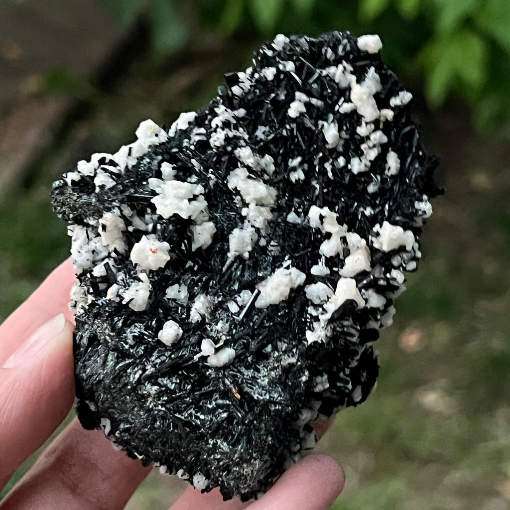 Cluster turmalina neagra model 7 din Erongo, Namibia, pietre semipretioase - druzy.ro 11 