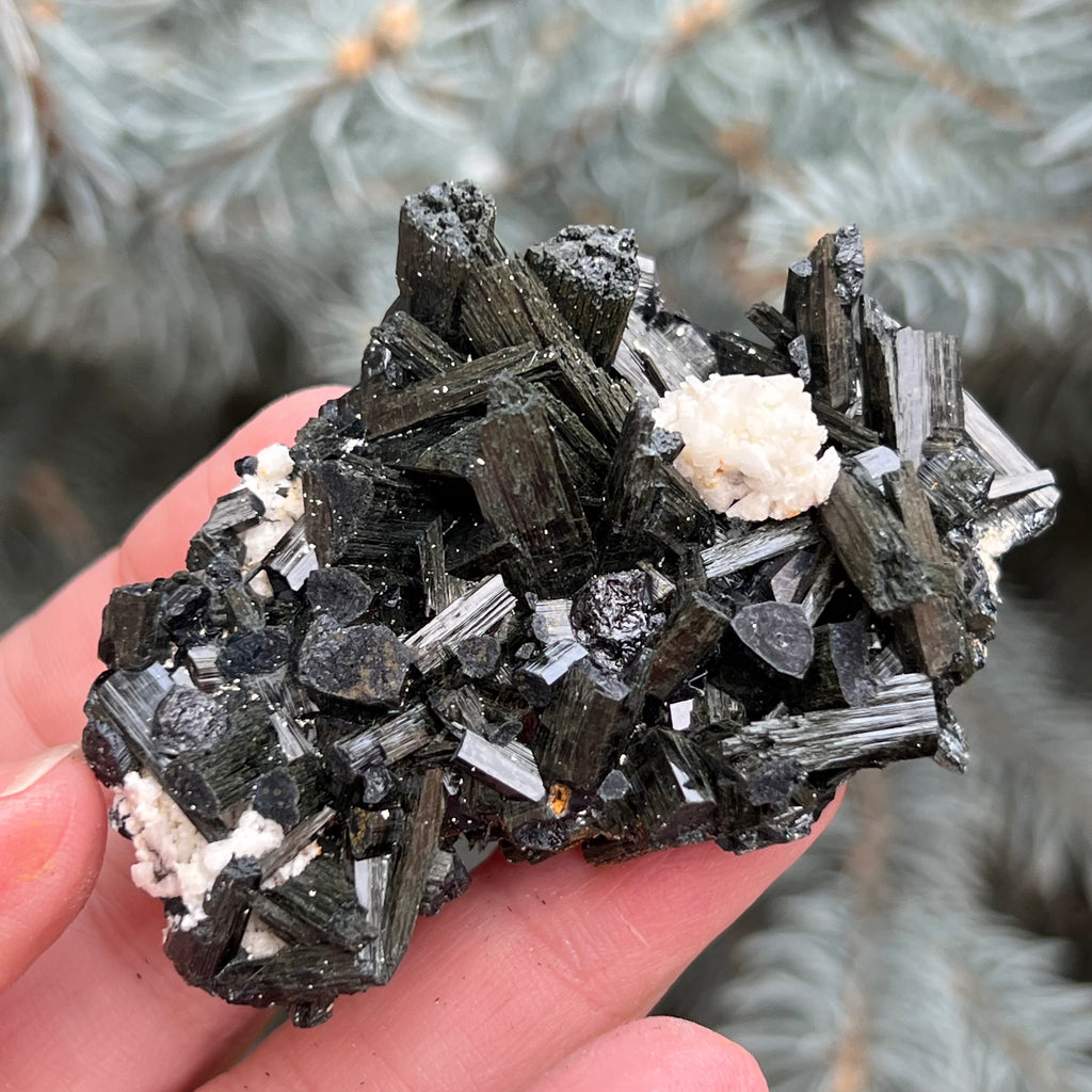 Cluster turmalina neagra model 2 din Erongo, Namibia, druzy.ro, cristale 5