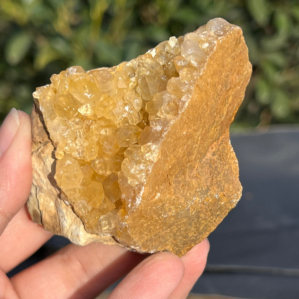 Cluster cuart lamaie Zambia, golden healer model 48, pietre semipretioase - druzy.ro 6 