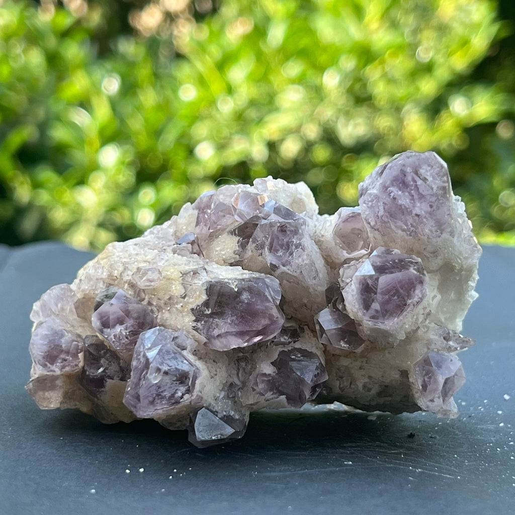 Cluster ametist sweet model 5a/4, din Zambia, pietre semipretioase - druzy.ro 5