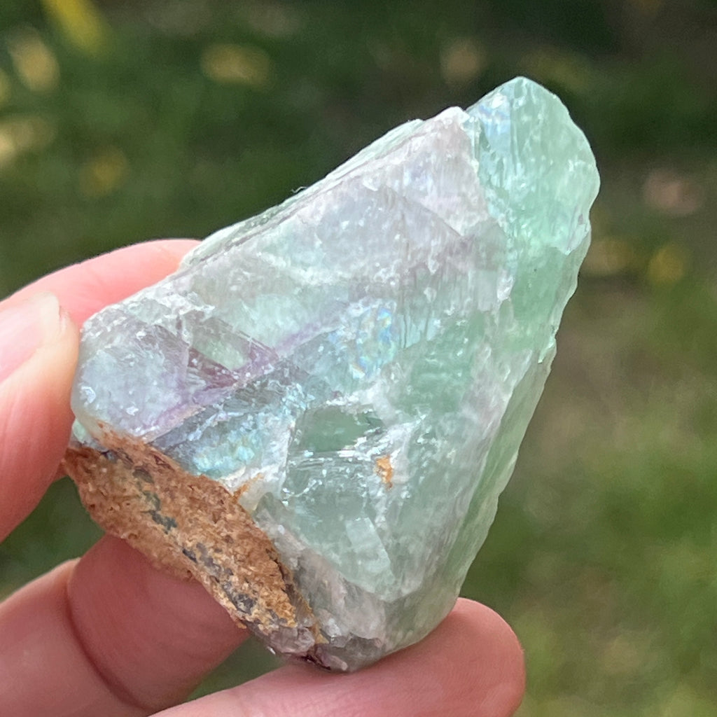 Fluorit piatra bruta din Namibia Africa model 11, pietre semipretioase - druzy.ro 5 