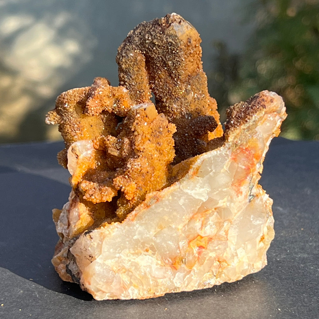 Cluster cuart lamaie, golden healer 4A/4, Africa de Sud, druzy.ro, cristale 6