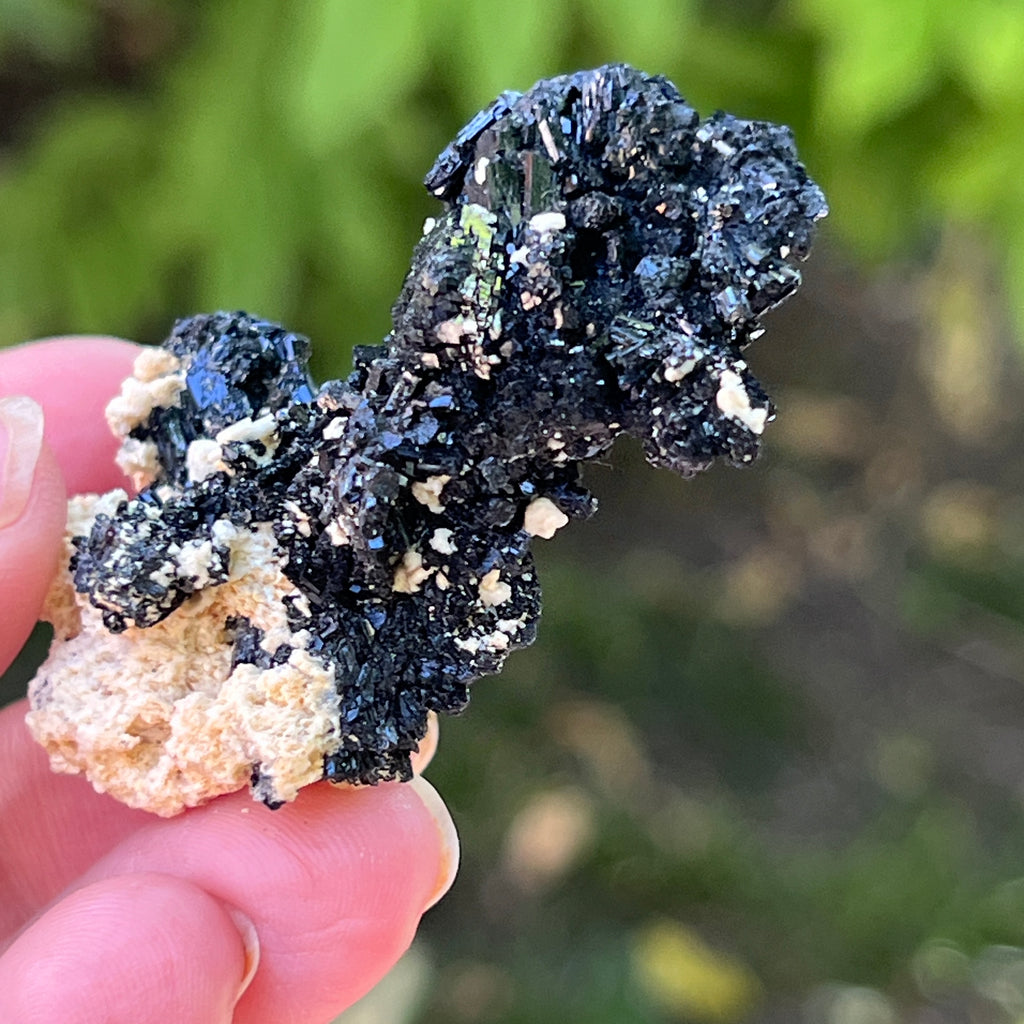 Cluster turmalina neagra model 17 din Erongo, Namibia, pietre semipretioase - druzy.ro 2 