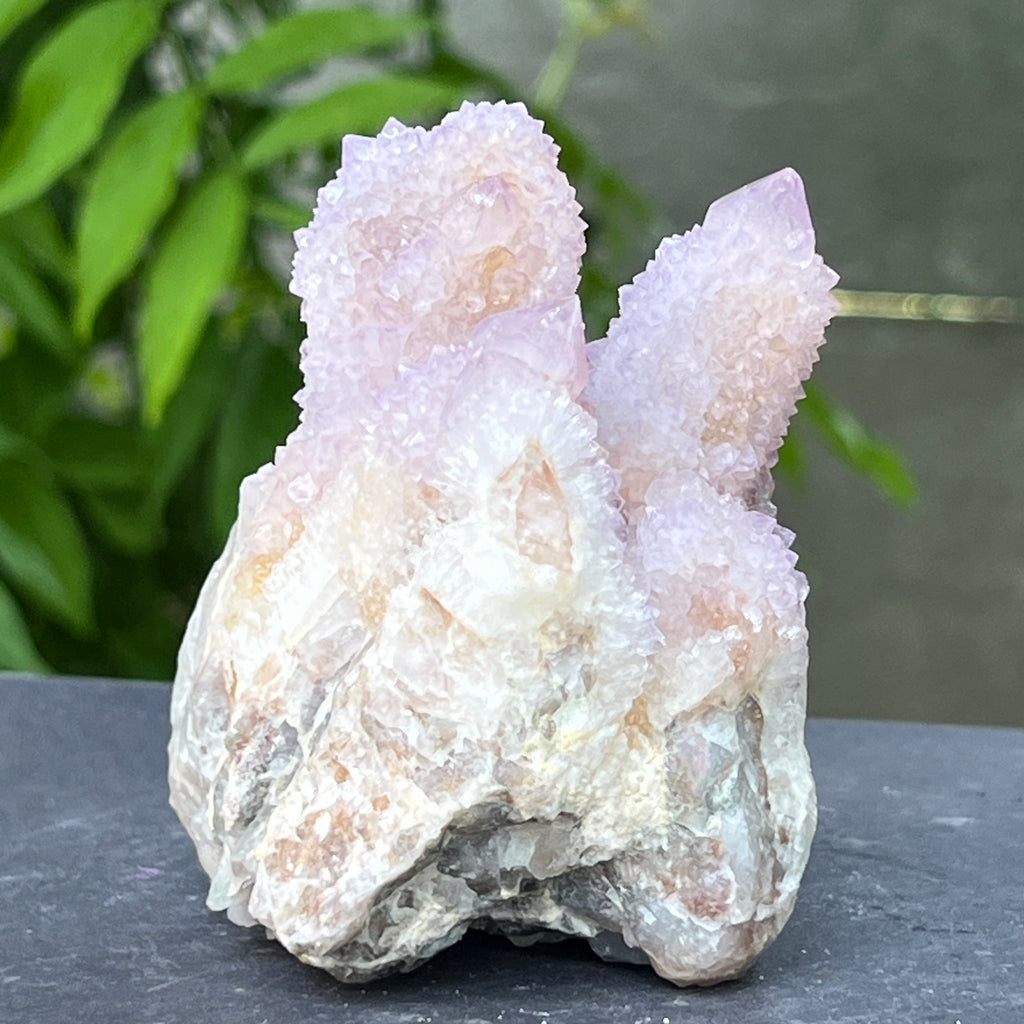 Specimen ametist cuart spirit din Africa de Sud | Model 4, pietre semipretioase - druzy.ro 5 