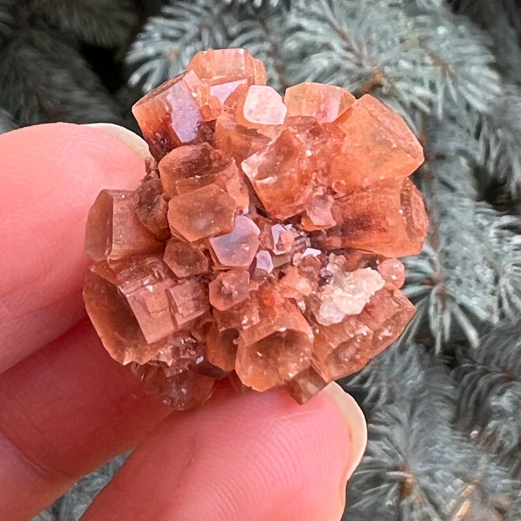 Cluster cristal aragonit din Maroc model 8, druzy.ro, cristale 1