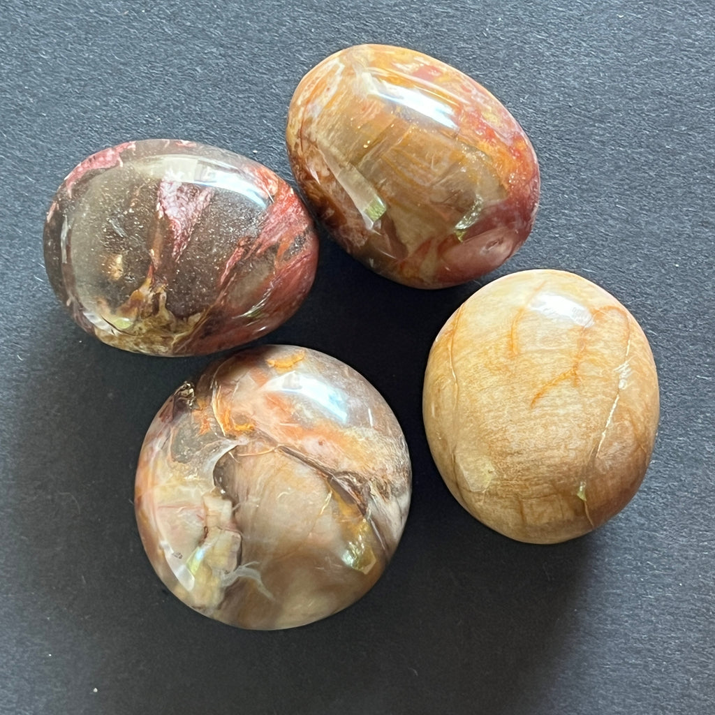 Lemn pietrificat rulat XL, pietre semipretioase - druzy.ro 2 