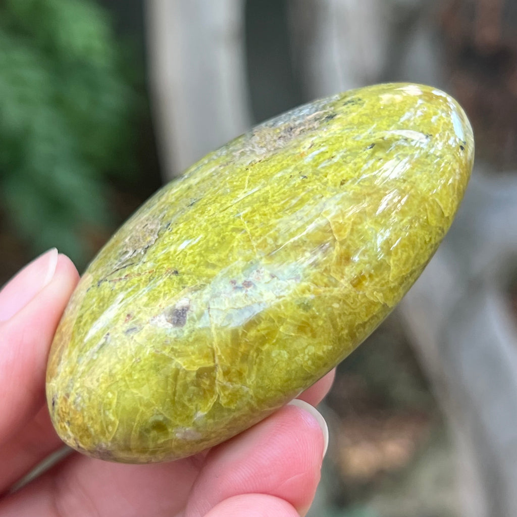 Opal verde palmstone m2, pietre semipretioase - druzy.ro 6 