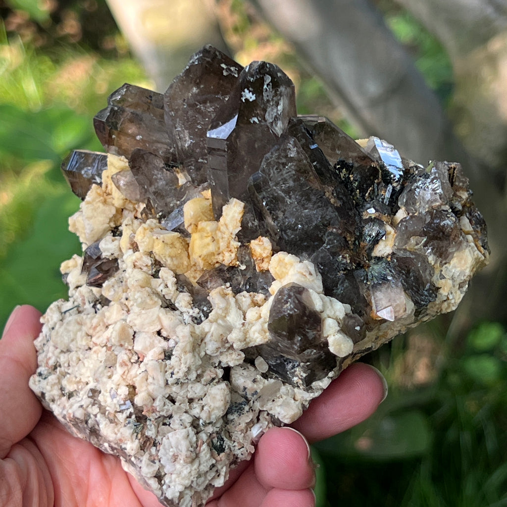 Specimen cluster cuart fumuriu m5, pietre semipretioase - druzy.ro 3 