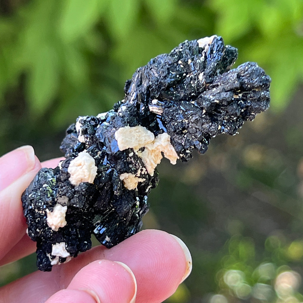 Cluster turmalina neagra model 20 din Erongo, Namibia, pietre semipretioase - druzy.ro 5 