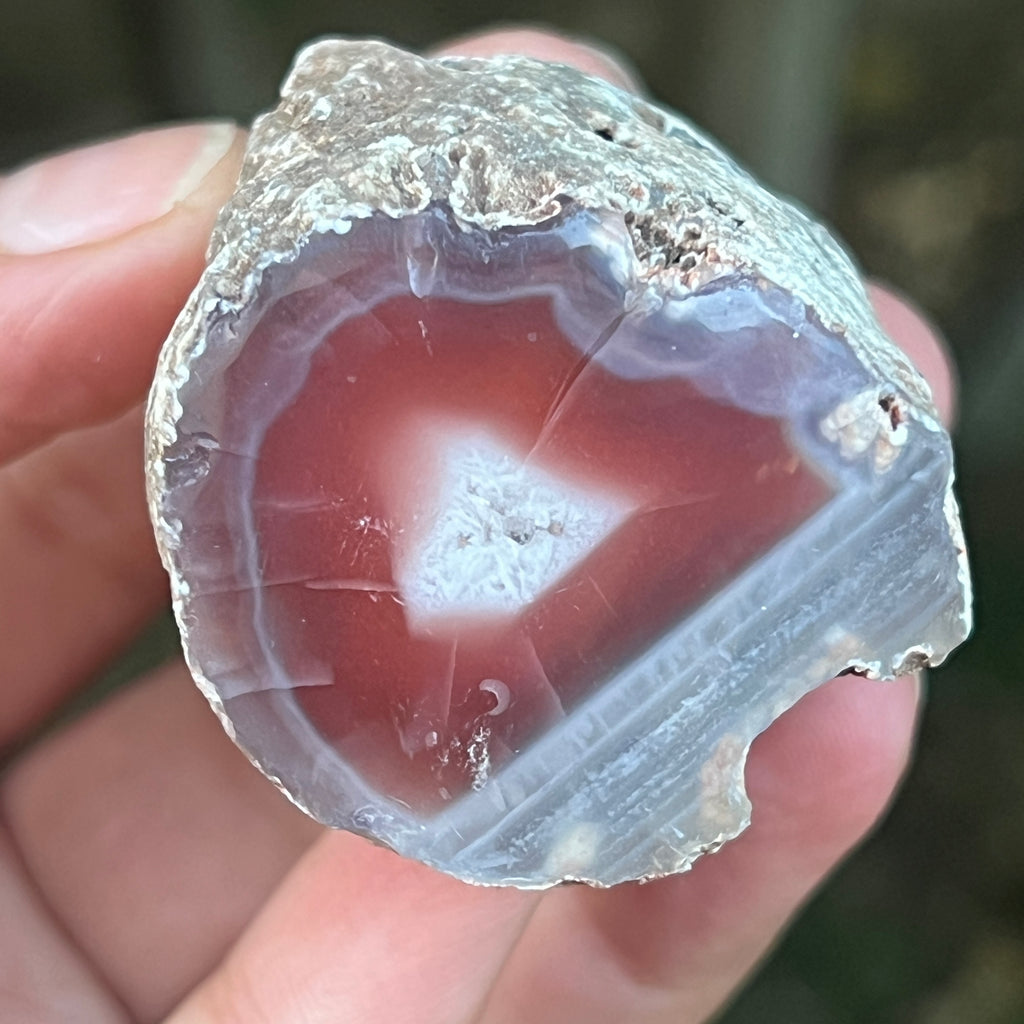 Agat de Botswana, nodul agat river model 13, pietre semipretioase - druzy.ro 4 