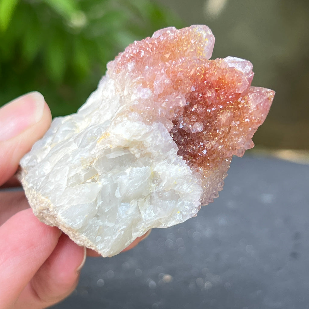 Specimen ametist cuart spirit din Africa de Sud | Model 13, pietre semipretioase - druzy.ro 4 