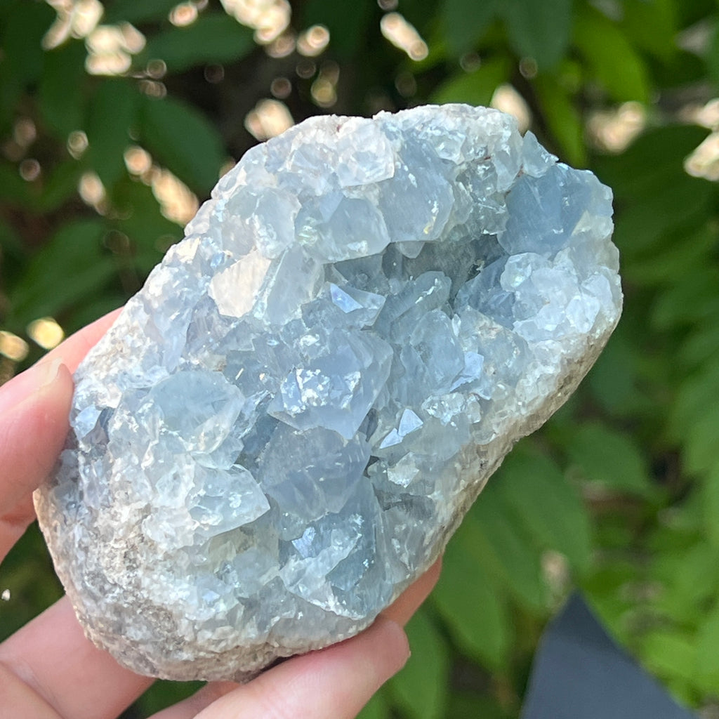 Celestit /celestina cluster m12, pietre semipretioase - druzy.ro 1 