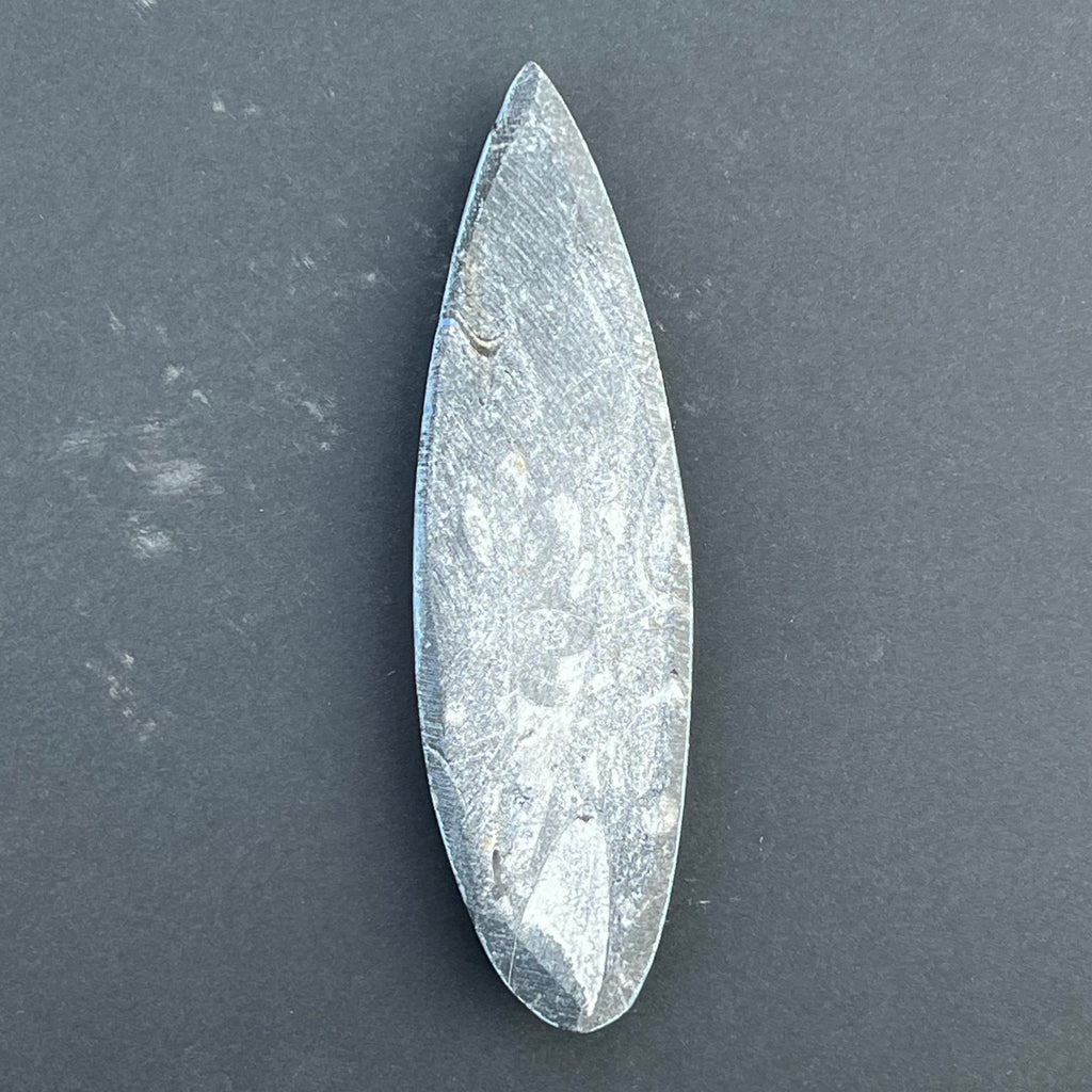 Fosil Orthoceras model 1, druzy.ro, cristale 3