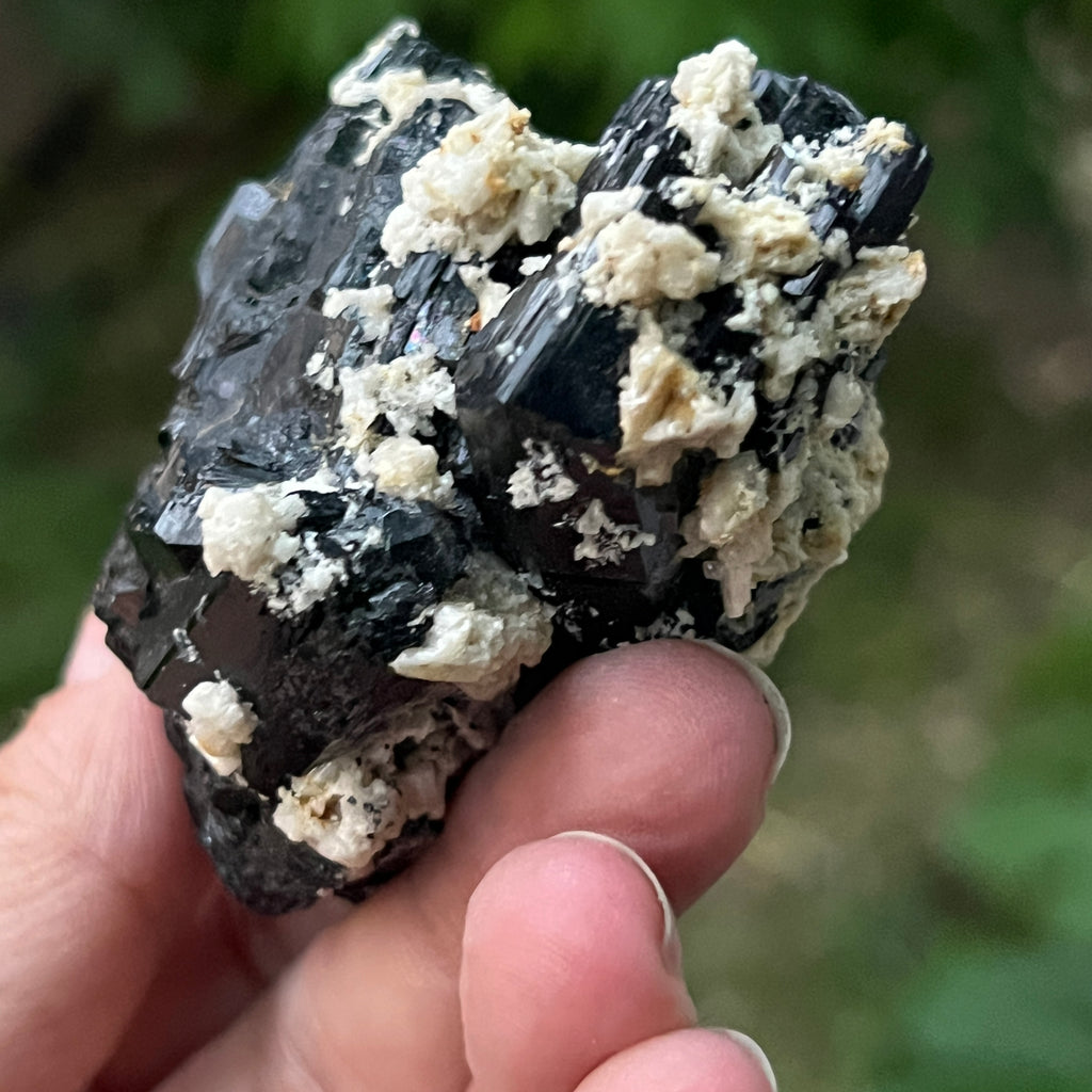 Cluster turmalina neagra model 2 din Erongo, Namibia, pietre semipretioase - druzy.ro 2 