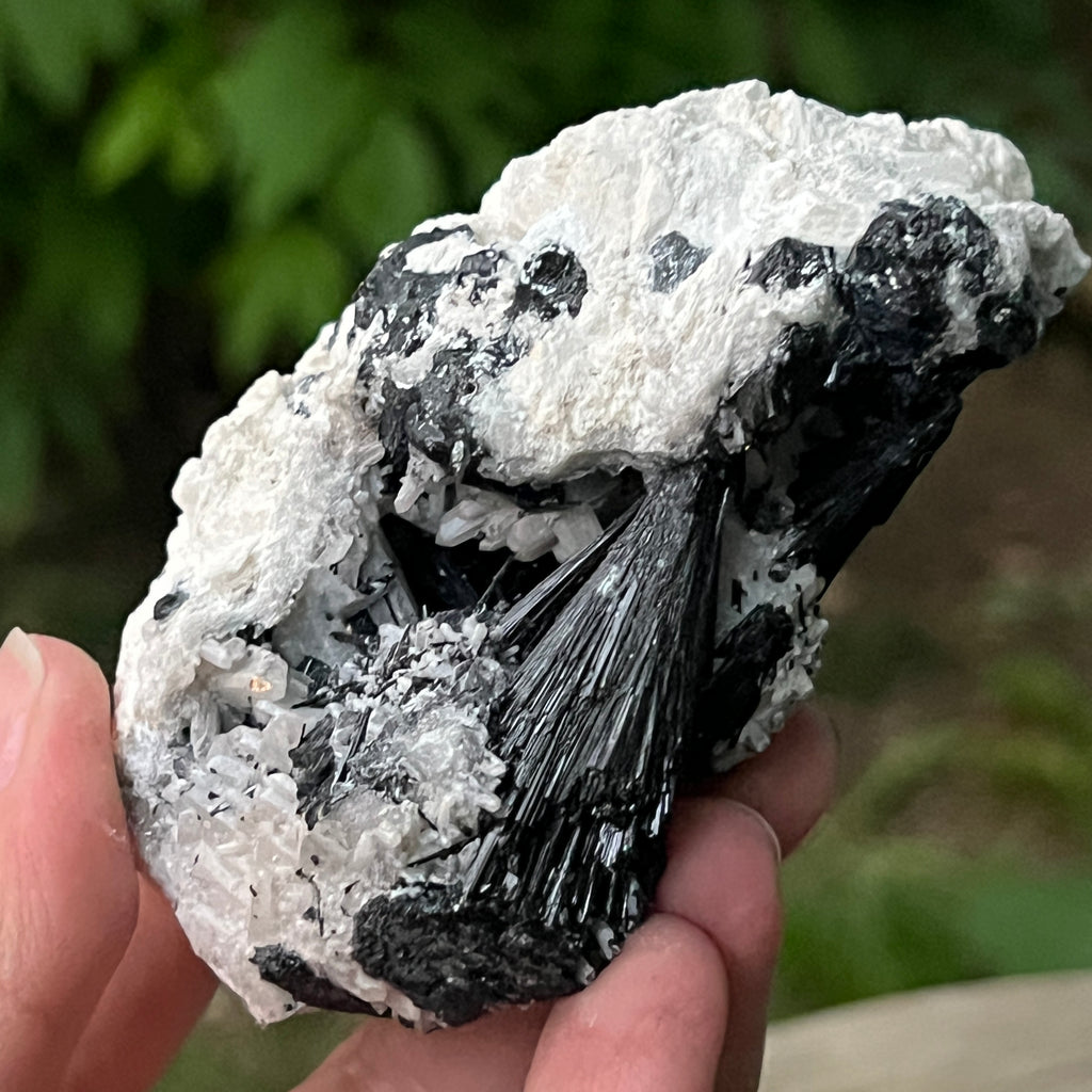 Cluster turmalina neagra model 9 din Erongo, Namibia, pietre semipretioase - druzy.ro 8 