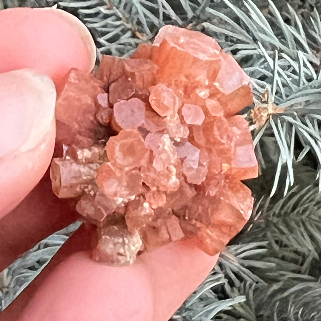 Cluster cristal aragonit din Maroc model 2, druzy.ro, cristale 4