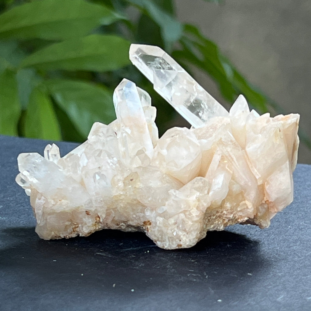 Cluster cuart incolor, floare de mina, cristal de stanca Zimbabwe m11, pietre semipretioase - druzy.ro 4 