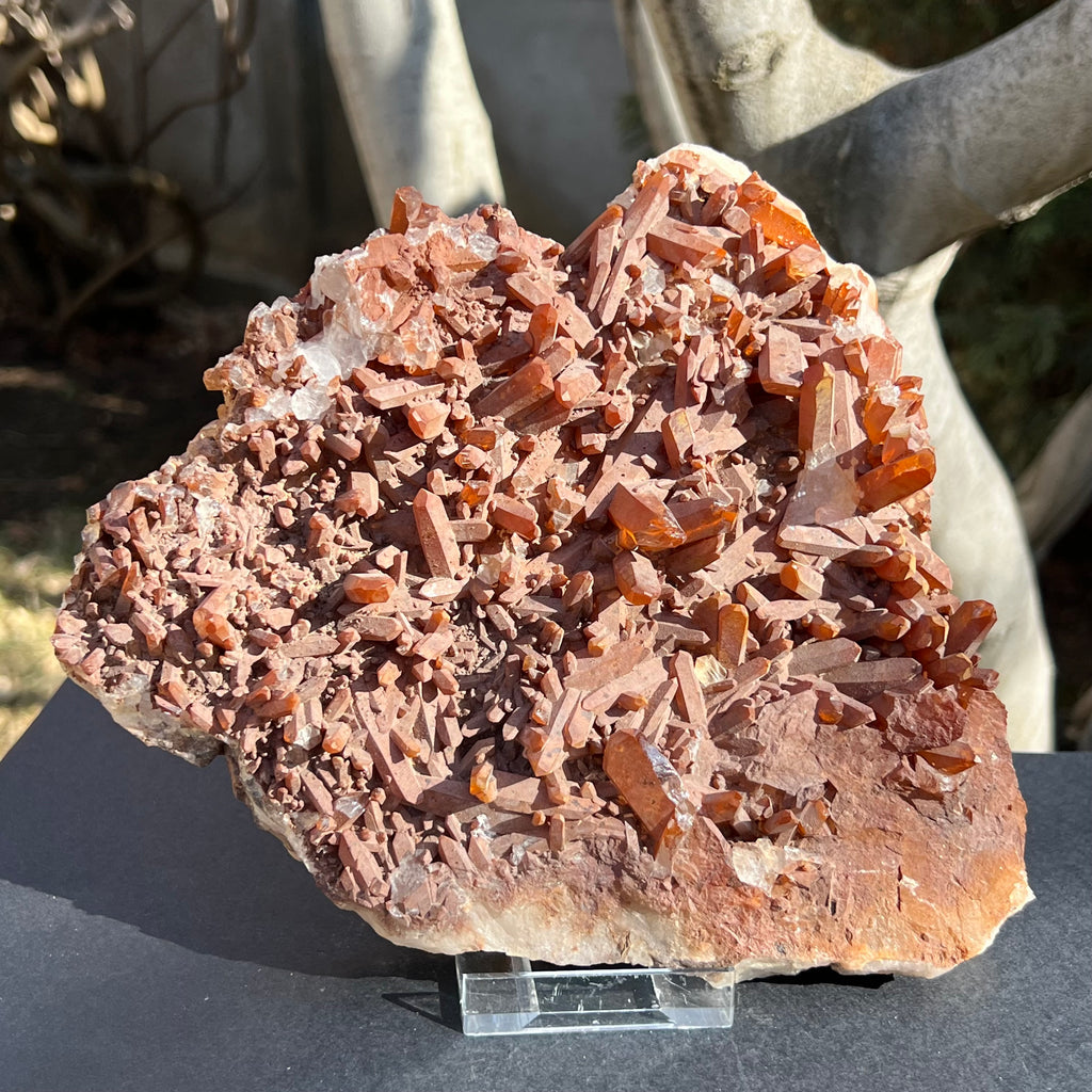 Cluster cuart tangerian 22 * 18 cm, druzy.ro, cristale 1