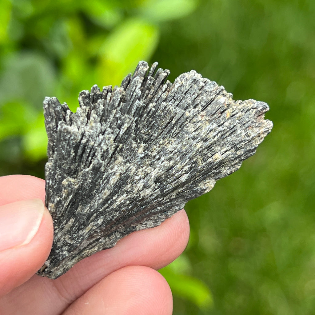 Kianit negru (Cianit) piatra bruta m5, pietre semipretioase - druzy.ro 1 