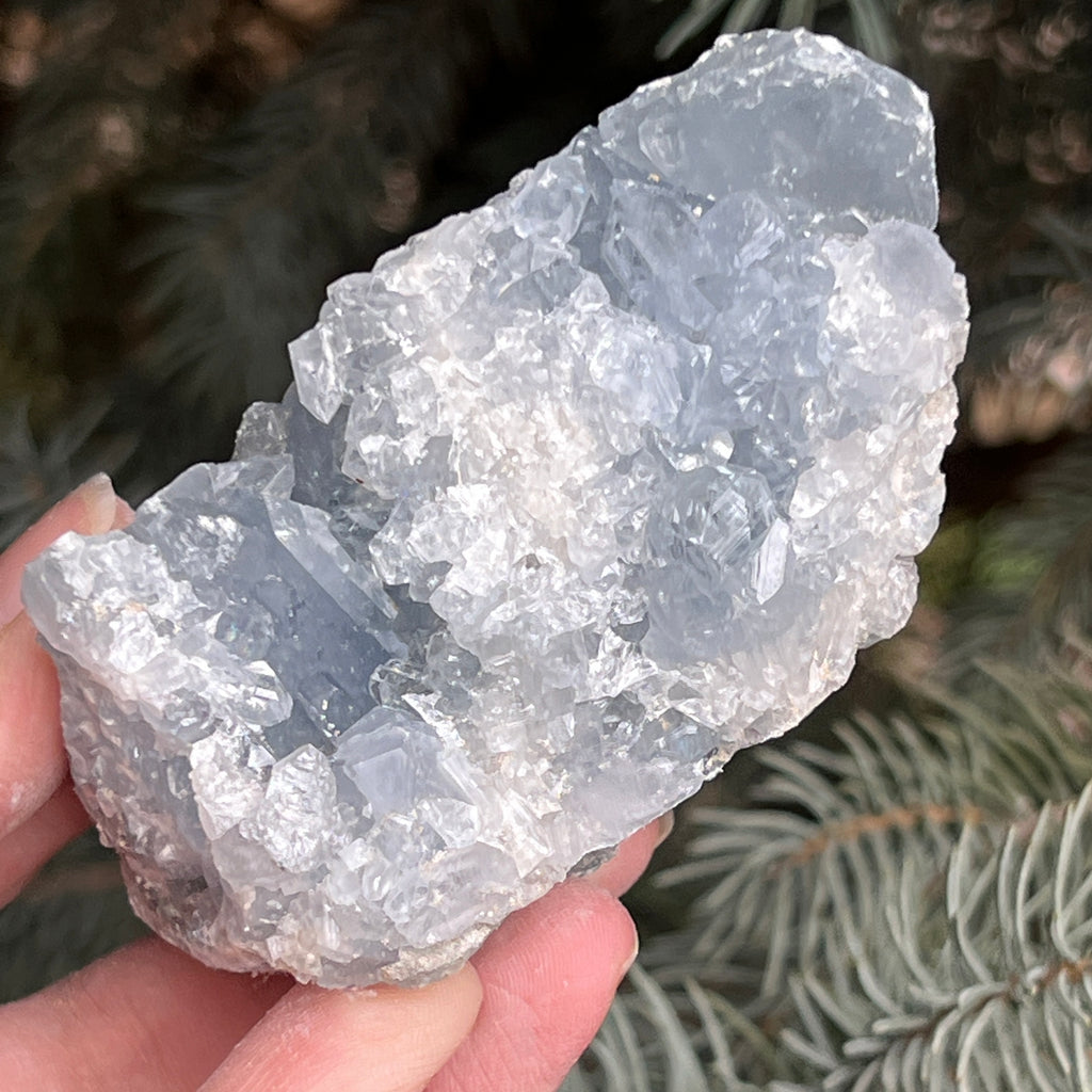 Celestit / celestina cluster m14, pietre semipretioase - druzy.ro 6 