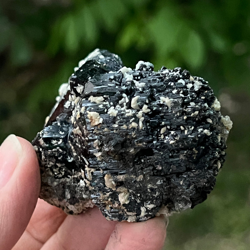 Cluster turmalina neagra model 6 din Erongo, Namibia, pietre semipretioase - druzy.ro 4 