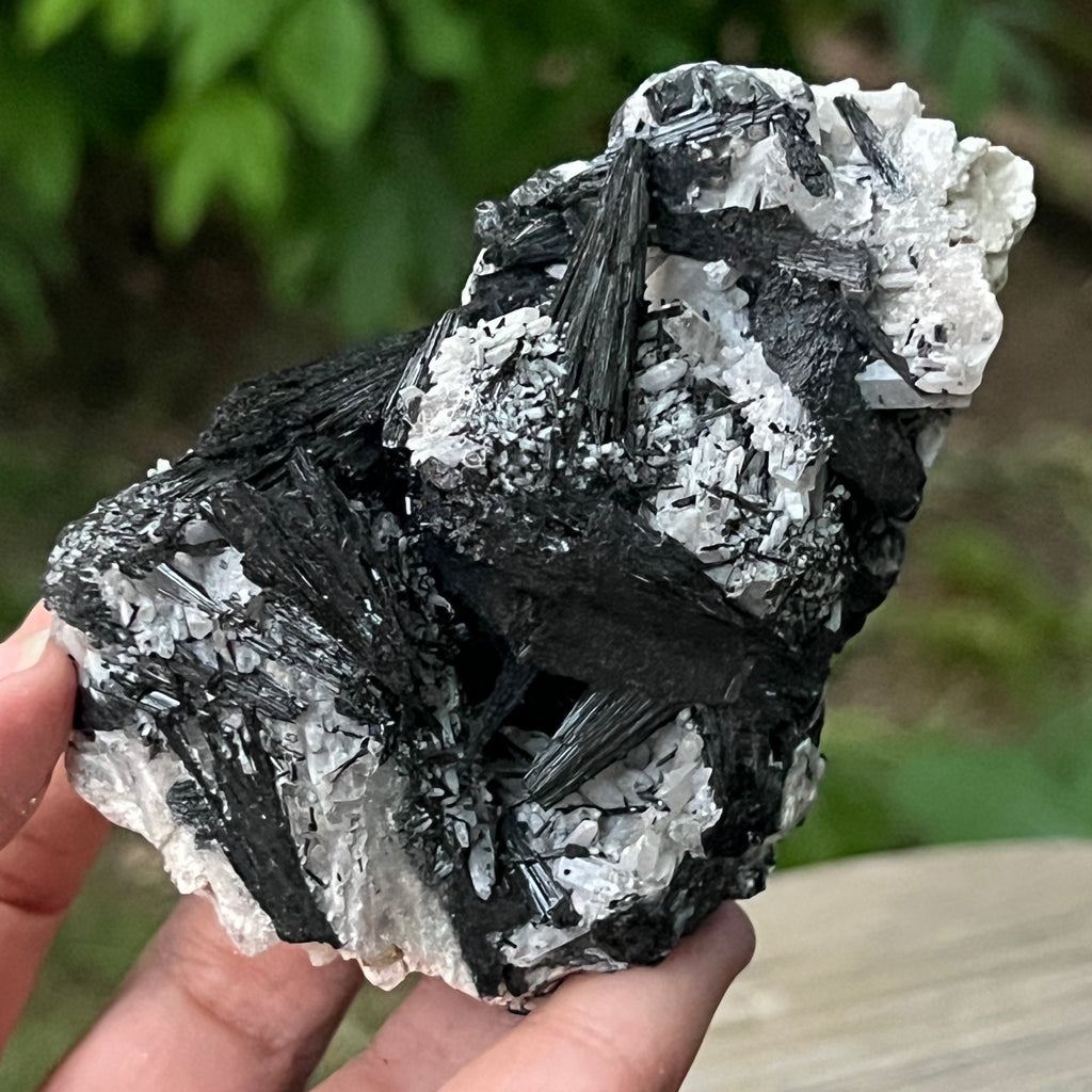 Cluster turmalina neagra model 9 din Erongo, Namibia, pietre semipretioase - druzy.ro 4 