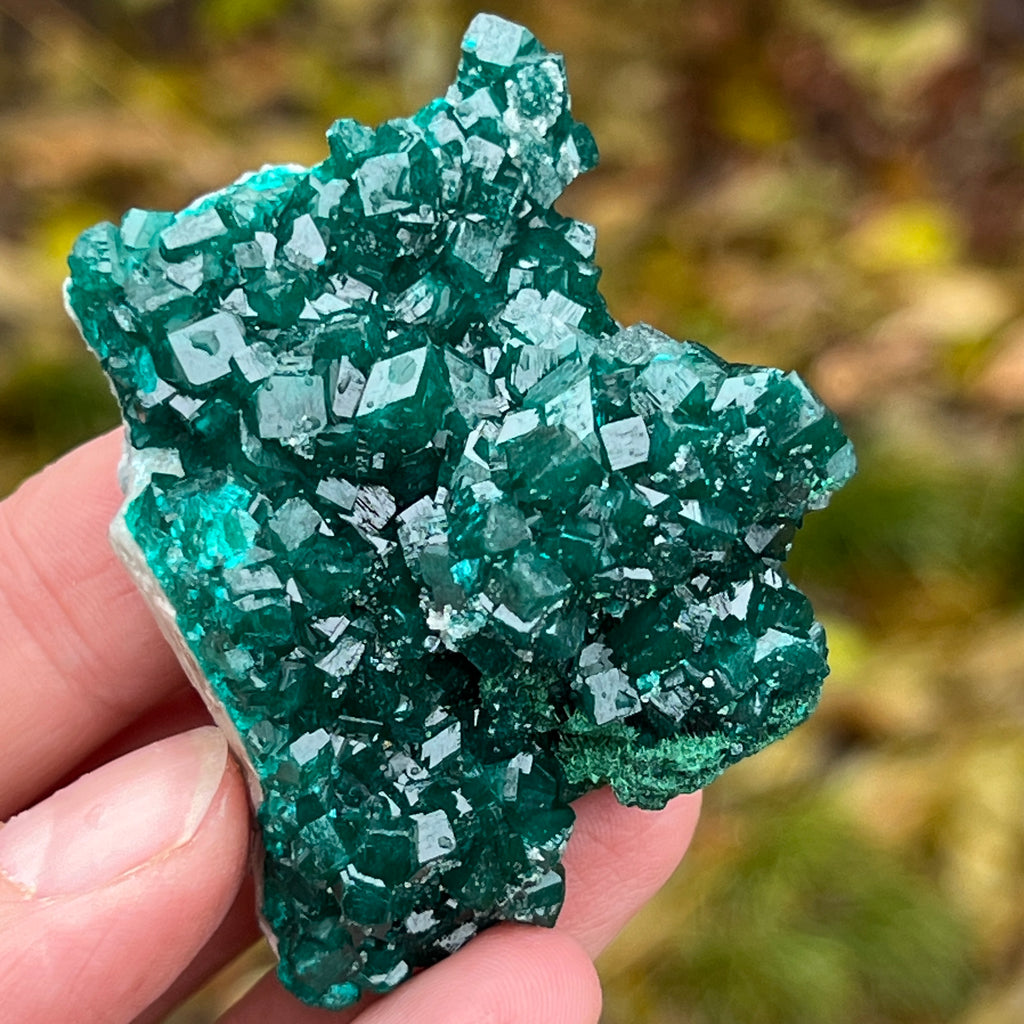 Dioptaz cluster din Congo model 7, pietre semipretioase - druzy.ro 1 