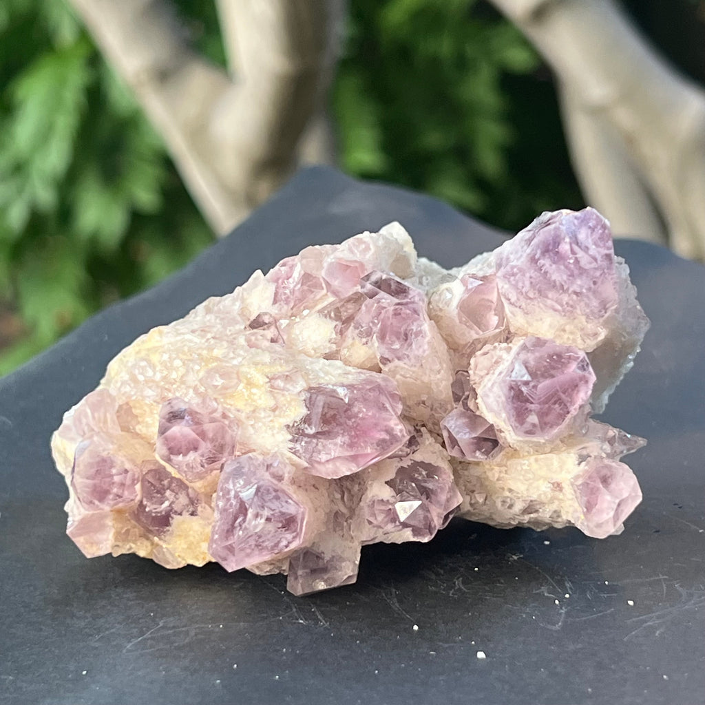 Cluster ametist sweet model 5a/4, din Zambia, pietre semipretioase - druzy.ro 2