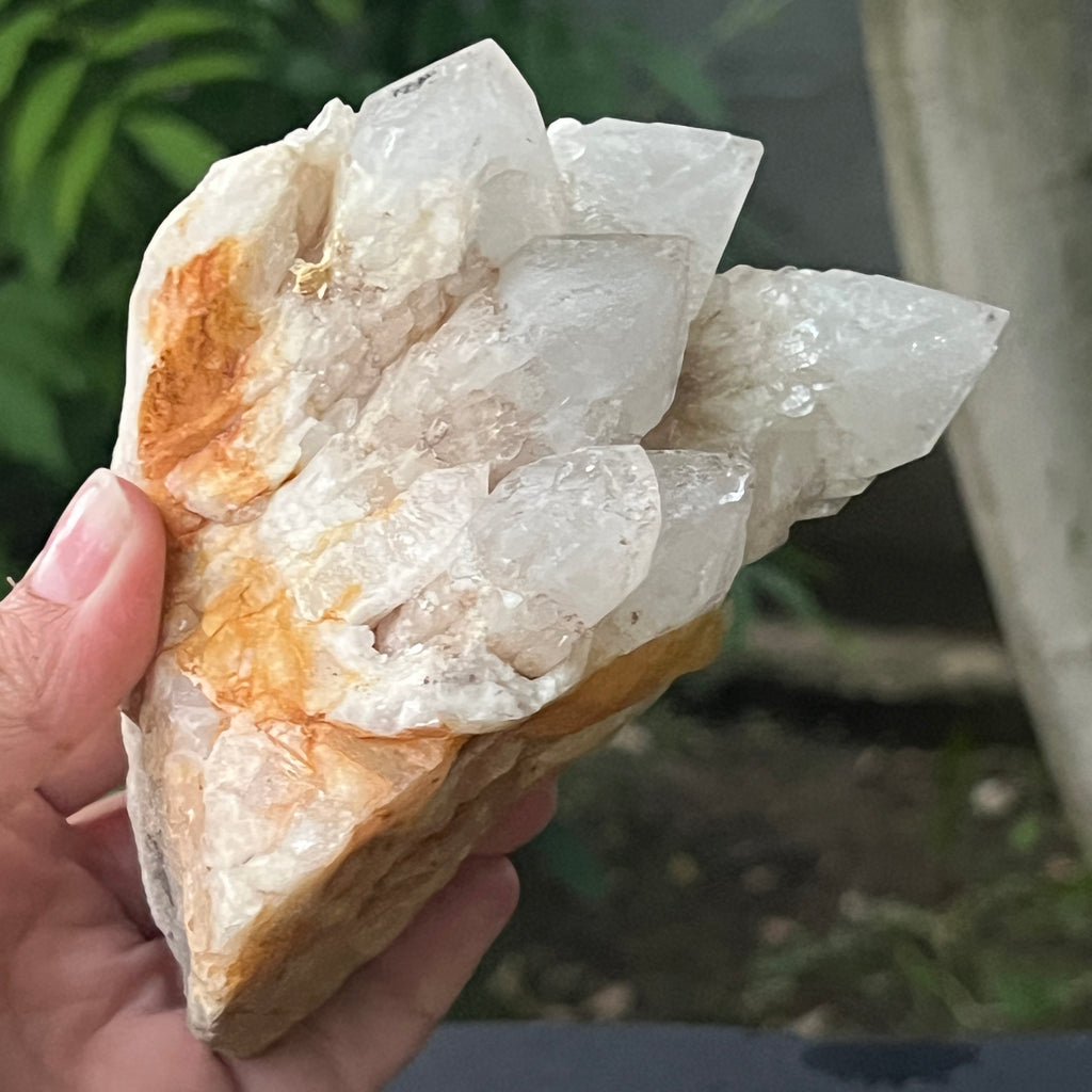 Cluster cuart fantoma, cuart ananas, cuart de stanca din Madagascar model 16, pietre semipretioase - druzy.ro 6 