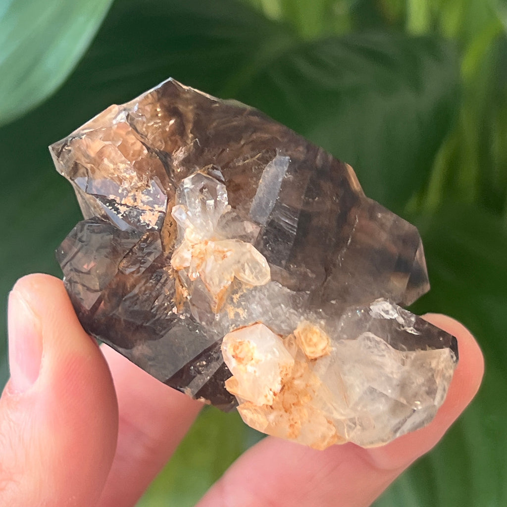 Cuart fumuriu generator/varf mina Brandberg | Model L14, pietre semipretioase - druzy.ro 3 