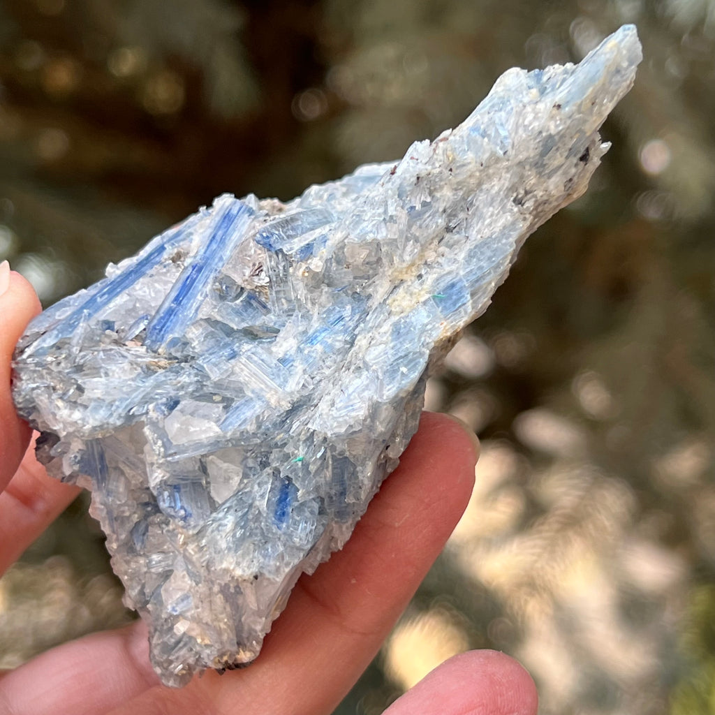 Kianit albastru (Cianit) piatra bruta din Zimbabwe model 10, druzy.ro, cristale 1
