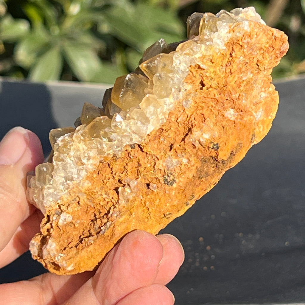 Cluster cuart lamaie Zambia, golden healer model 45, pietre semipretioase - druzy.ro 2 