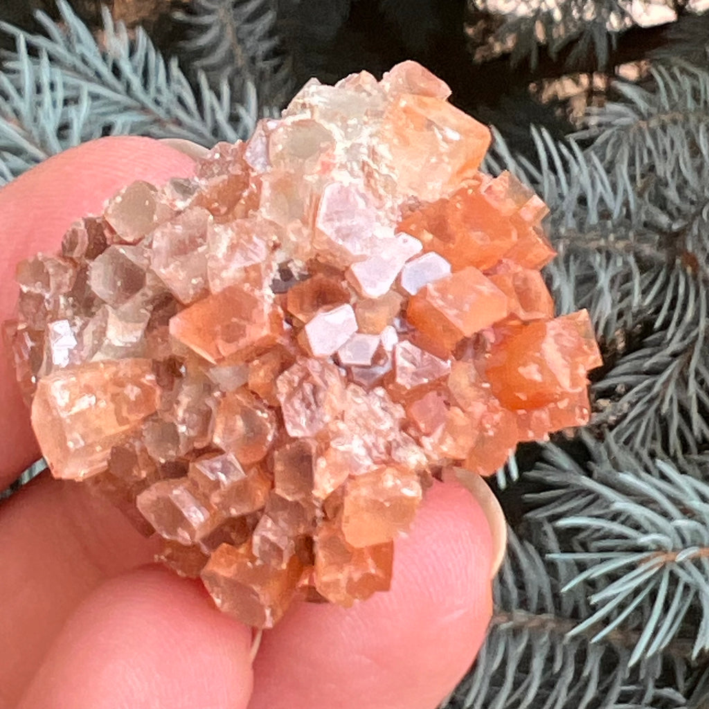 Cluster cristal aragonit din Maroc model 10, druzy.ro, pietre semipretioase 2