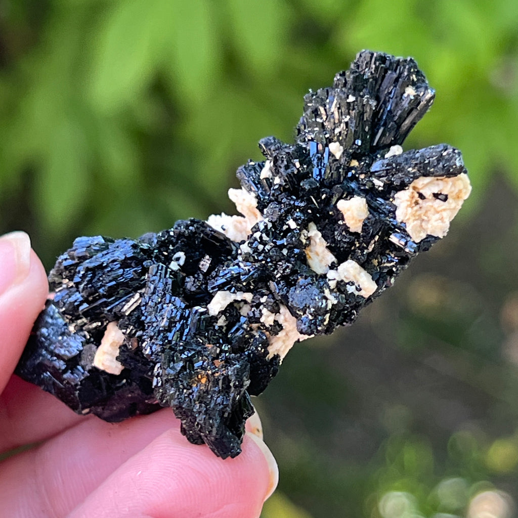 Cluster turmalina neagra model 20 din Erongo, Namibia, pietre semipretioase - druzy.ro 3 