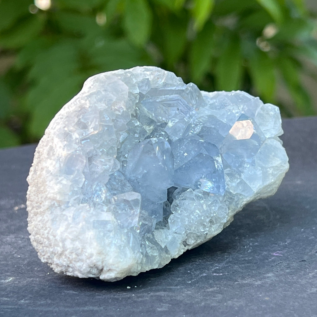 Celestit / celestina cluster m17, pietre semipretioase - druzy.ro 1 