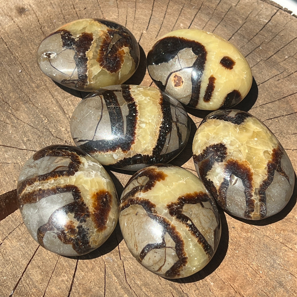 Septaria palm stone 5 cm, pietre semipretioase - druzy.ro 3 