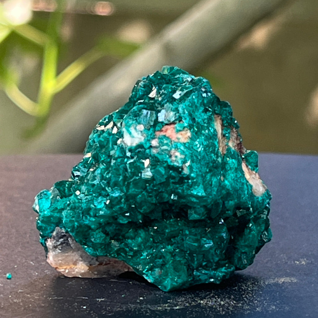 Dioptaz cluster din Congo model 6, pietre semipretioase - druzy.ro 10 