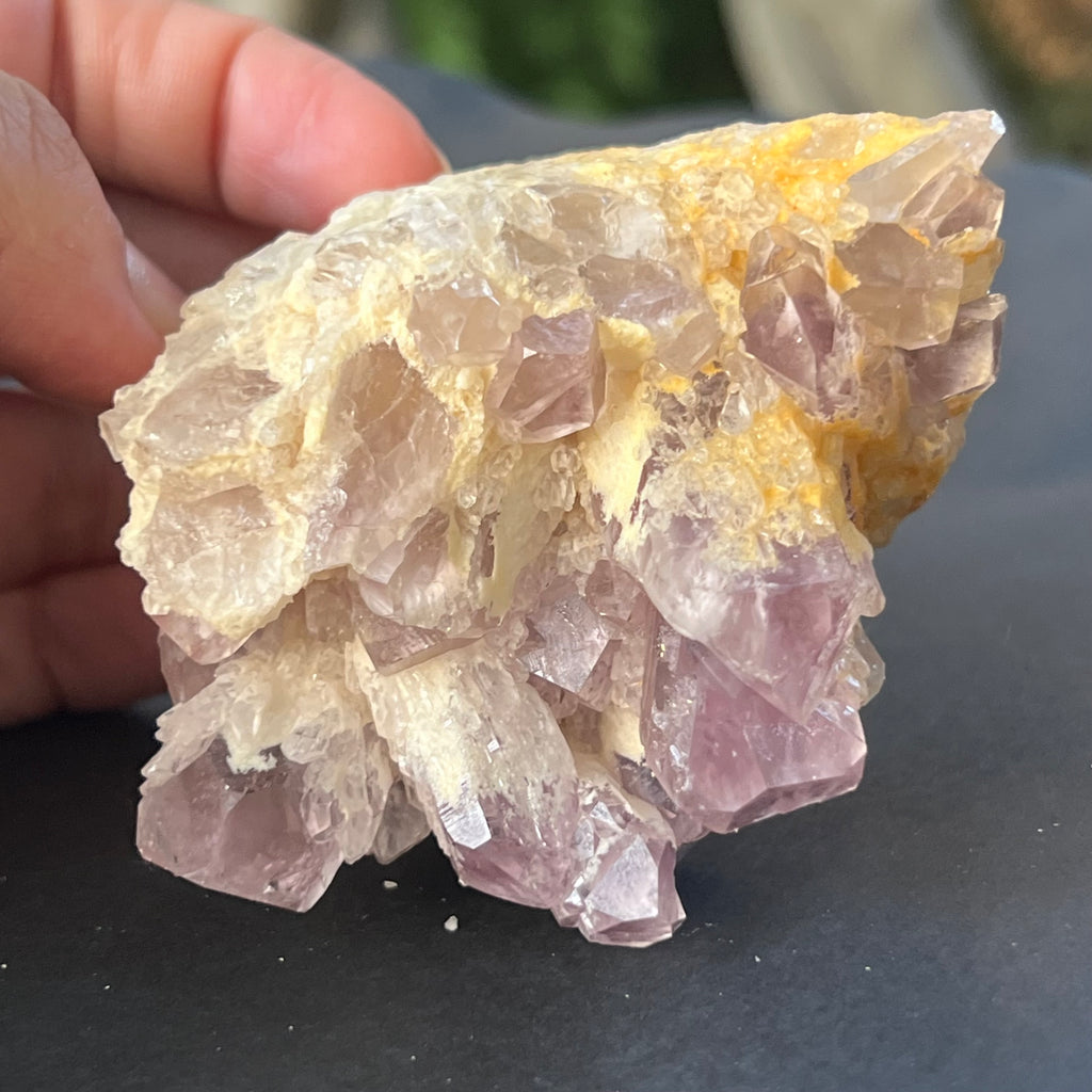 Cluster ametist sweet model 5a/5, din Zambia, pietre semipretioase - druzy.ro 5