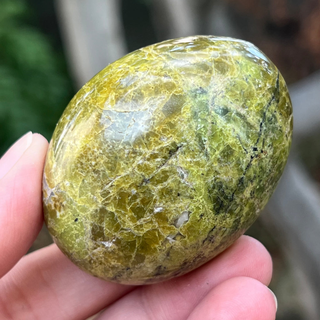 Opal verde palmstone m4, pietre semipretioase - druzy.ro 4 